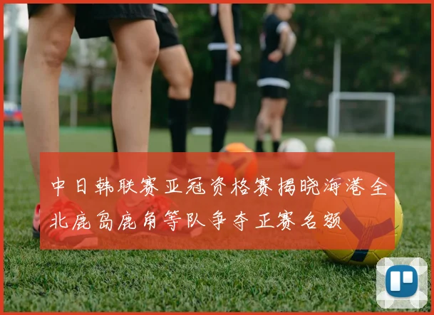 中日韩联赛亚冠资格赛揭晓海港全北鹿岛鹿角等队争夺正赛名额