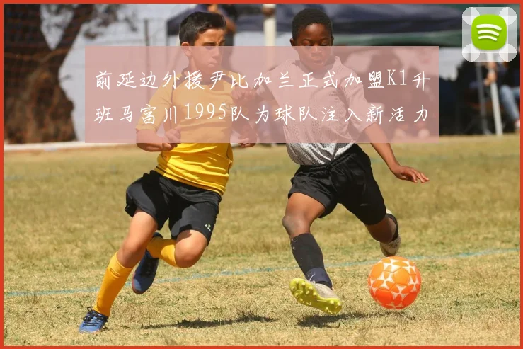 前延边外援尹比加兰正式加盟K1升班马富川1995队为球队注入新活力