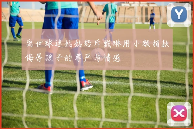 离世球迷姑姑怒斥戴琳用小额捐款侮辱孩子的尊严与情感