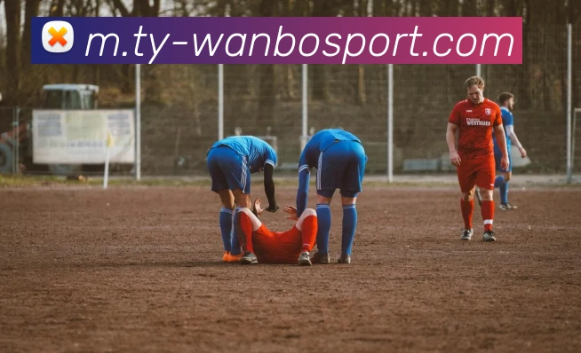 万博足球官网APP 高清赛事图